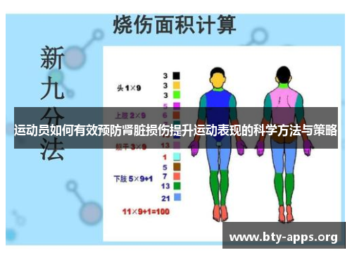 运动员如何有效预防肾脏损伤提升运动表现的科学方法与策略 运动员如何有效预防肾脏损伤提升运动表现的科学方法与策略