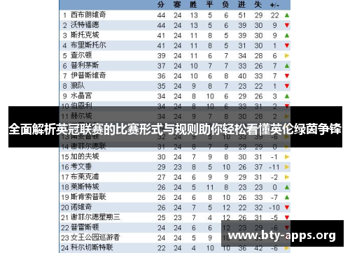 全面解析英冠联赛的比赛形式与规则助你轻松看懂英伦绿茵争锋
