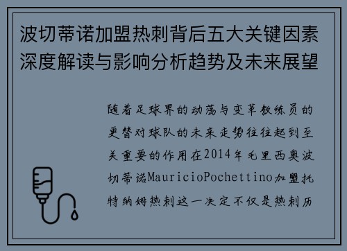 波切蒂诺加盟热刺背后五大关键因素深度解读与影响分析趋势及未来展望